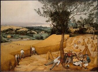 The Harvesters, Pieter Bruegel the Elder (Netherlandish, Breda (?) ca. 1525–1569 Brussels)